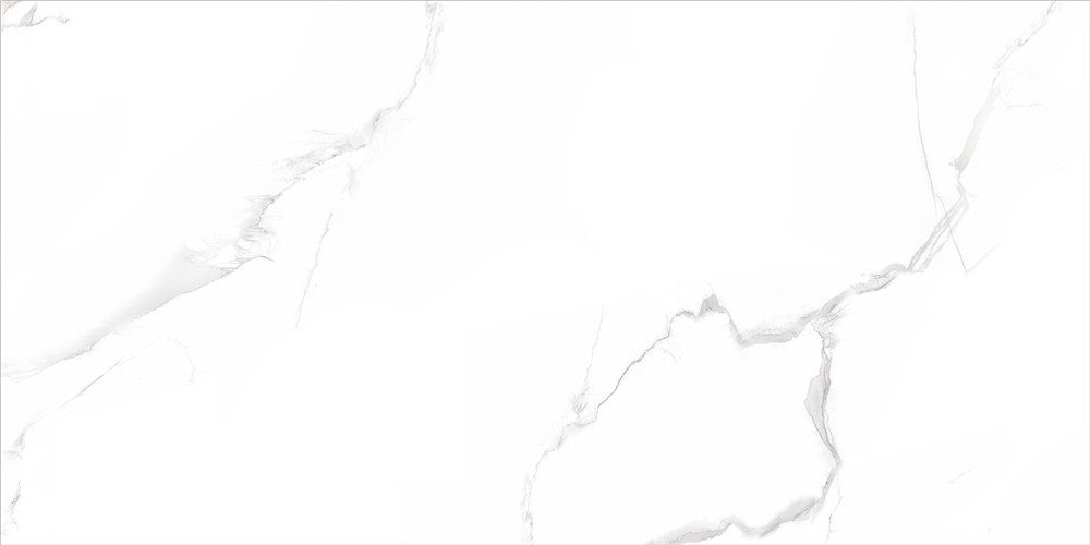 400X800全瓷中板