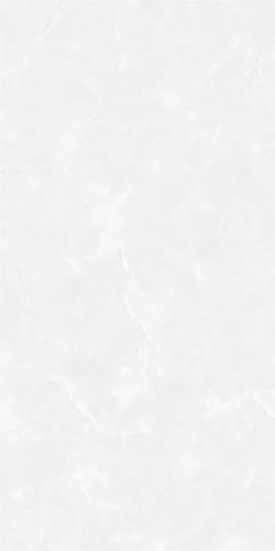 GT48671-2
