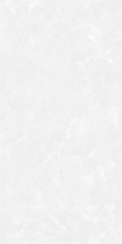 GT48671-4