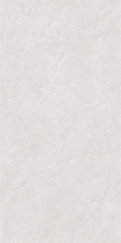 GT48692-2