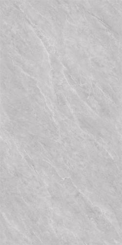 GT48696-4