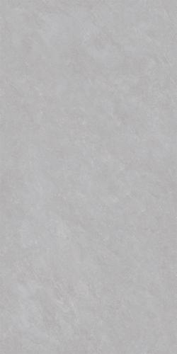 GT48698