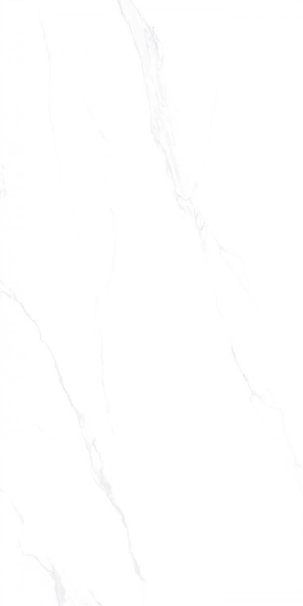 GMZ158616.jpg